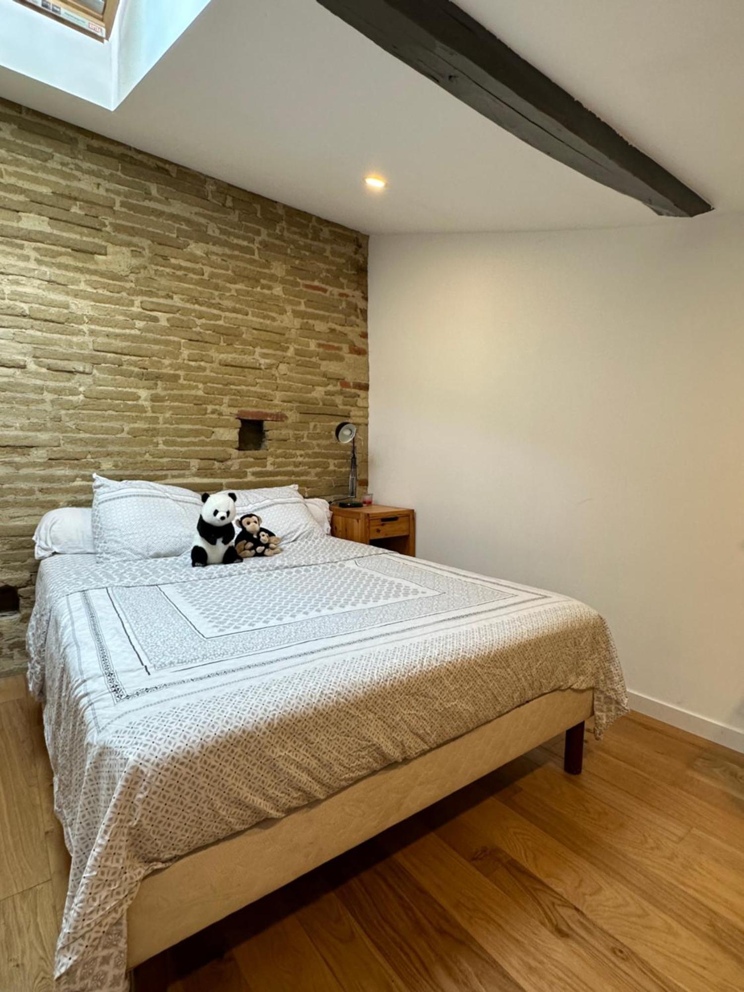 טולוז L Appartement Canal Du Midi מראה חיצוני תמונה